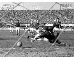 Bologna Fiorentina 56 57 20