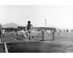 1955 03814 salto in lungo atletica stadio