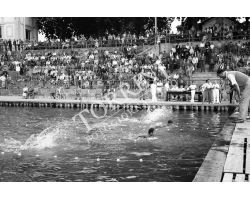 1955 03909 gara di nuoto alla Rari Nantes