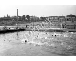 1955 03910 gara di nuoto alla Rari Nantes Lungarno Colombo