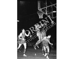 1955 03988 Harlem Globetrotters pallacanesto Basket