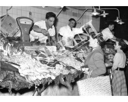 1953 0086 Pescheria del mercato centrale 