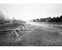 1955 0435 isolotto arno