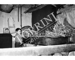 1955 0591 Garfagnana bambini