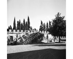 1953 0469 Castelfiorentino