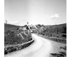 1953 0478 Castelfiorentino