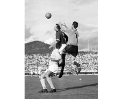 Fiorentina Lazio 58 59 Cervato Sarti