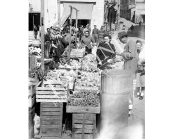  Fucecchio mercato frutta
