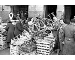 Foto storiche Firenze Mercato ortofrutta sant ambrogio lavoro