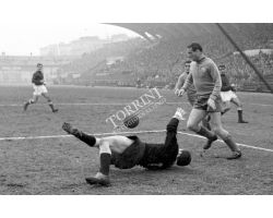 Fiorentina Alessandria  57 58 01