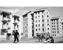 1954 7663 firenze isolotto 