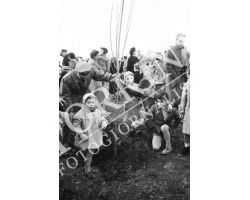 1954 7814 isolotto festa degli alberi 