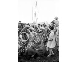 1954 7815 isolotto festa degli alberi