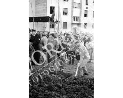 1954 7818 isolotto festa degli alberi