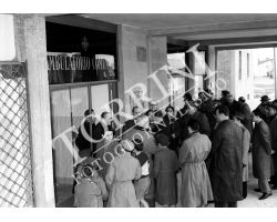 1955 1299 Isolotto nuova farmacia