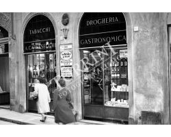 1953 0669 via vigna nuova Tabacchi Drogheria