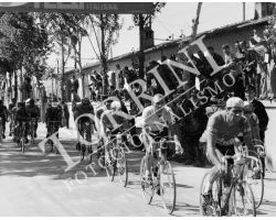 1955 2910  Magni giro d\'Italia tappa Viareggio Perugia ciclismo