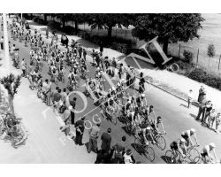 1955 2914 giro d\'Italia tappa Viareggio Perugia ciclismo