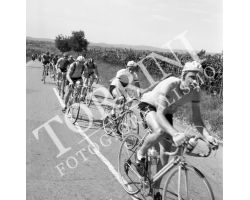 1955 05544 giro della Toscana dilettanti ciclismo