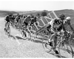 1955 05546 giro della Toscana dilettanti ciclismo
