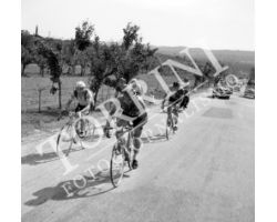 1955 05547 giro della Toscana dilettanti ciclismo