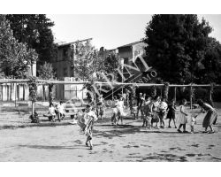 1958 05909 Foto storiche Firenze giardino in via dll\'ardiglione san frediano