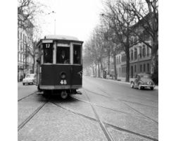 1958 00530 tram ATAF 17 nel Viale dei Mille