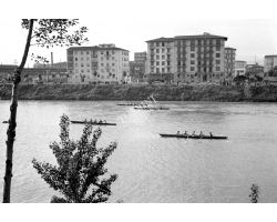 1957 04123 Canottieri in arno Lungarno Colombo Bellariva