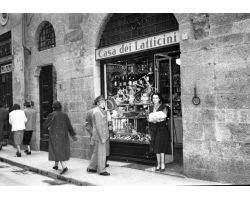 1953  0665  casa dei latticini negozio