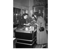 1953  0667 gelateria