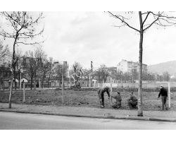 Foto storiche Firenze  Campo di Marte