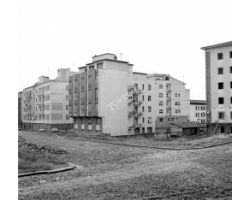 Foto storiche Firenze Nuove case i in via Centostelle