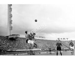   campionato calcio 53 54 Fiorentina Roma
