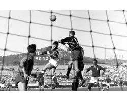 Foto storiche  Fiorentina  Catania 54 55