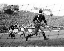 Foto storiche  Fiorentina Udinese 54 55 Virgili