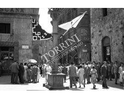 1955  03935  Piazza Tolomei  Siena