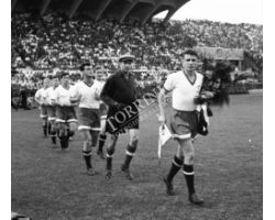    Fiorentina Dinamo