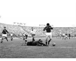    Fiorentina Dinamo  Yashin  Montuori