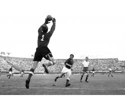 1955  05224   Fiorentina Dinamo yashin  montuori