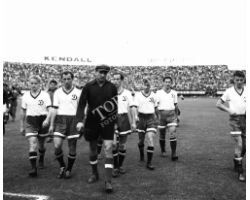  Fiorentina Dinamo yashin