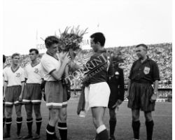 Fiorentina Dinamo di Mosca
