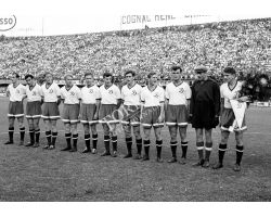 Fiorentina Dinamo di Mosca