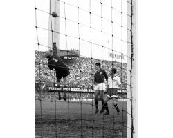 Fiorentina Dinamo di Mosca