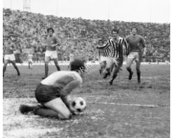 Fiorentina Juventus 70 71 07 Bettega Galdiolo berni superchi  calcio
