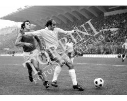 Fiorentina Lazio 74 75 Desolati
