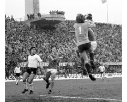 Fiorentina Cesena 76 77 12 Caso