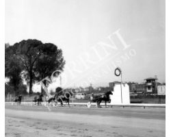 Corsa giornalisti all\'ippodromo delle Mulina