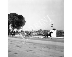 Corsa giornalisti all\'ippodromo delle Mulina
