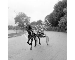 Giornata gentlemen all\'ippodromo delle Mulina