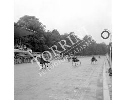 Giornata gentlemen all\'ippodromo delle Mulina